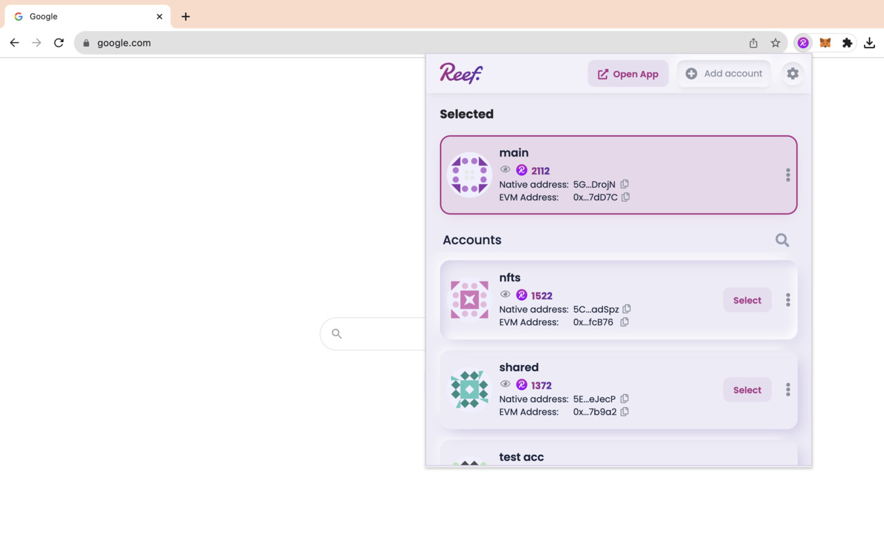 Reef Chain Wallet Extension截图2