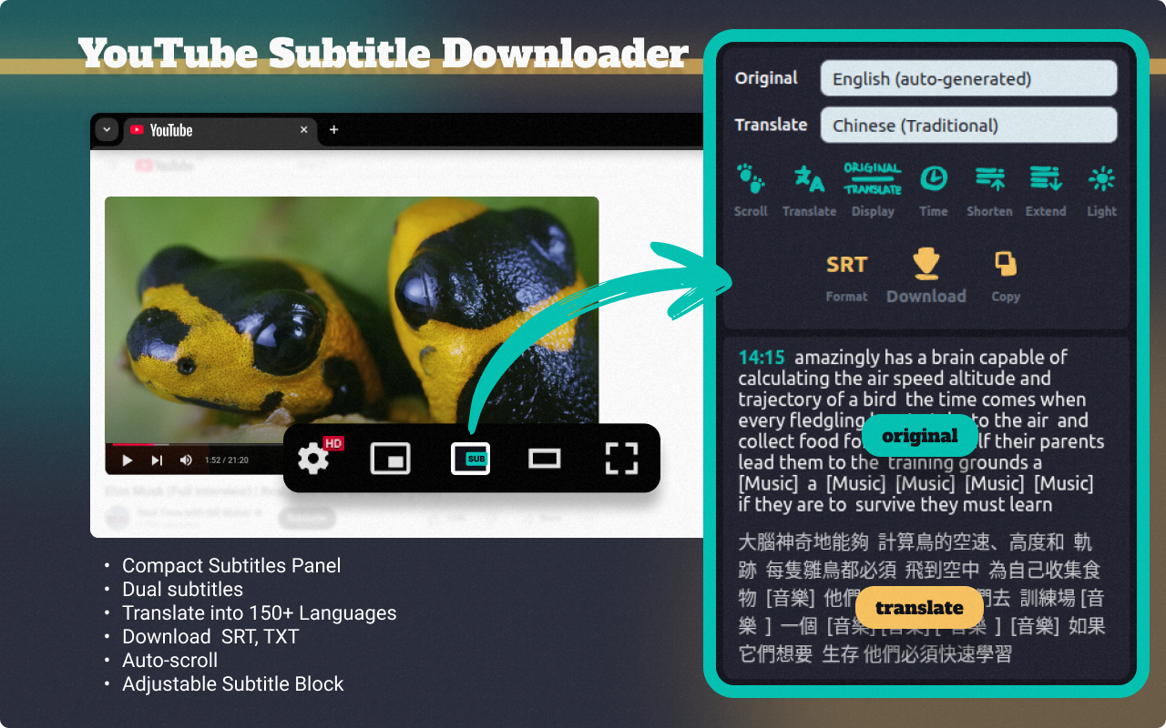 YouTube Subtitle Downloader - YouTube字幕下载器截图1