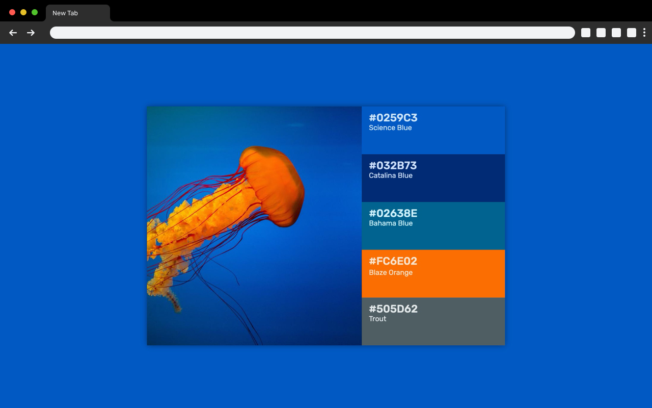 Palette Tab截图5