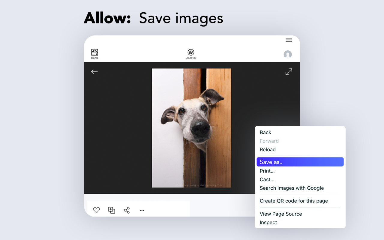Enable right click - allow copy & select截图1