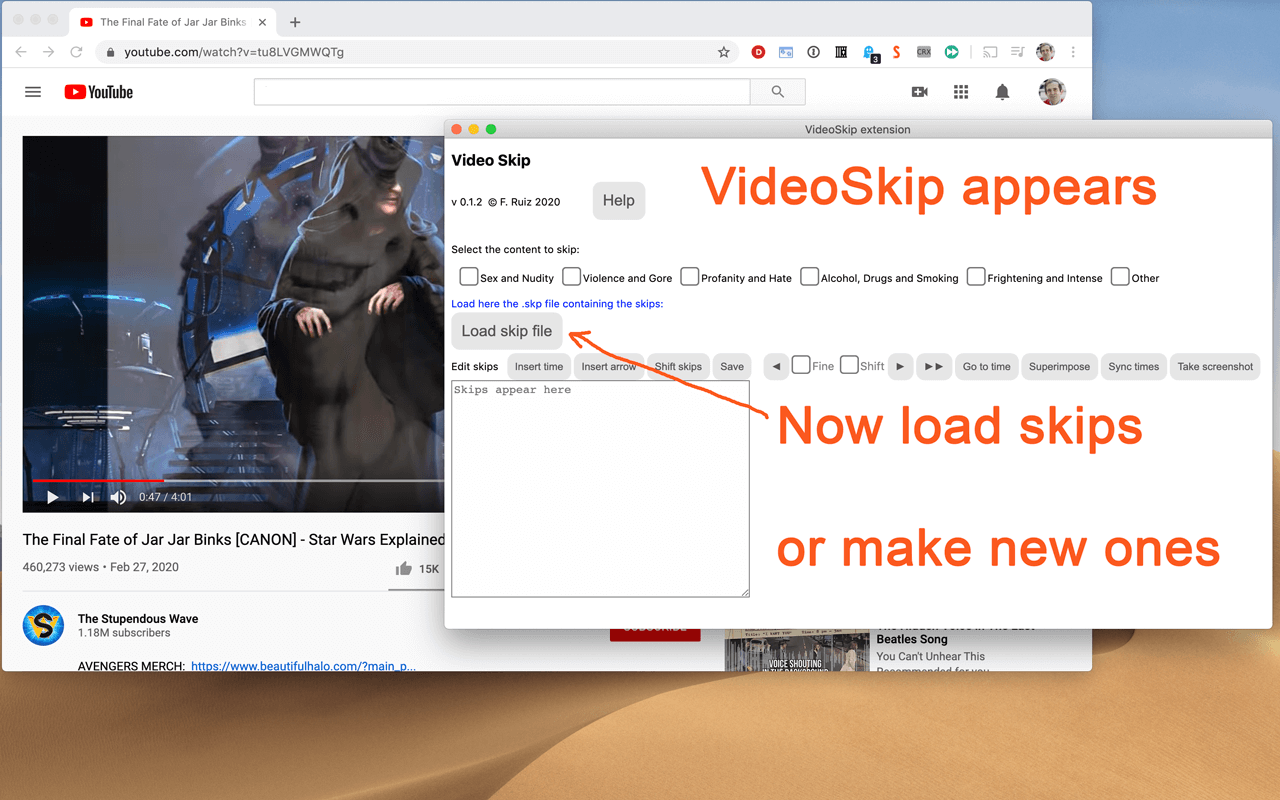 VideoSkip截图4