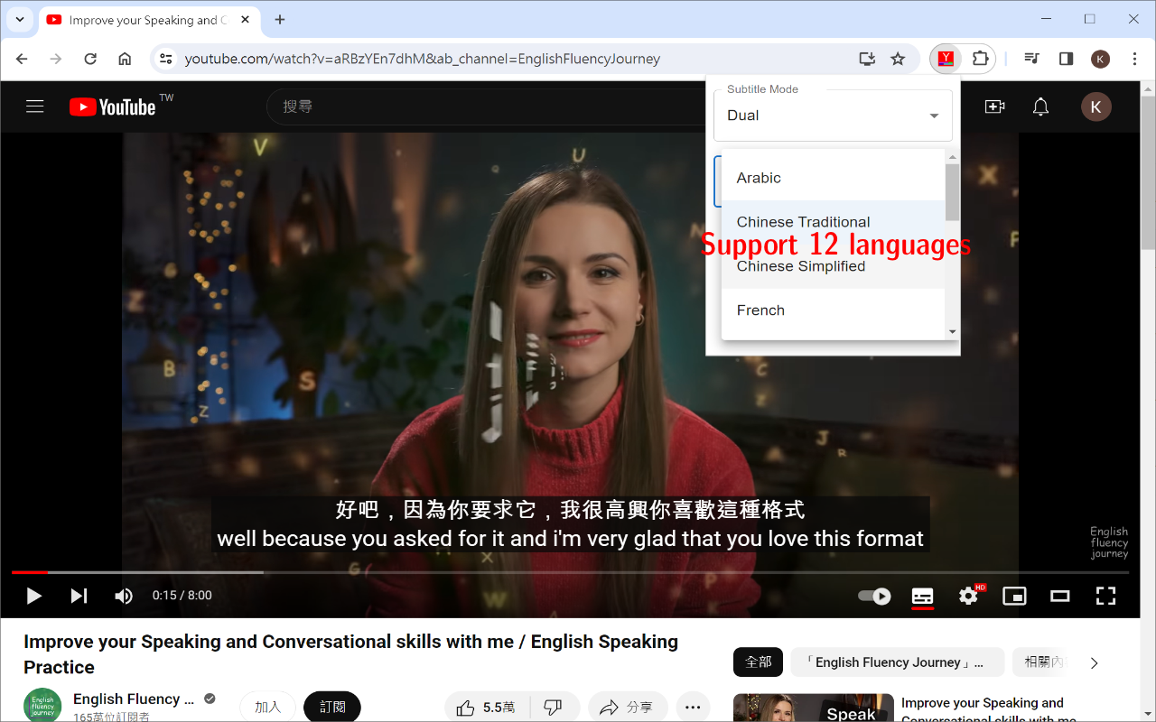 YouTube Double Subtitle截图1