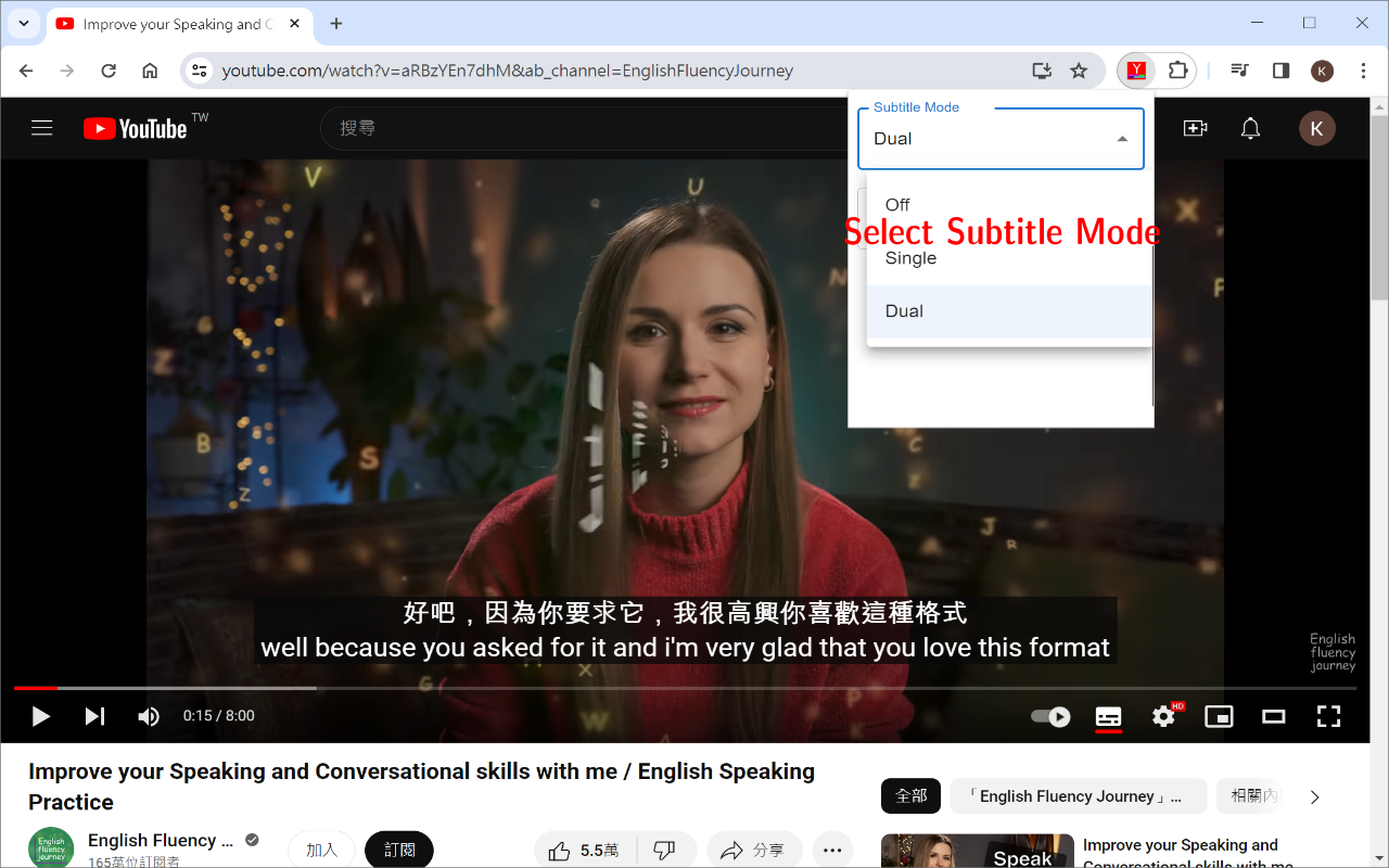 YouTube Double Subtitle截图3