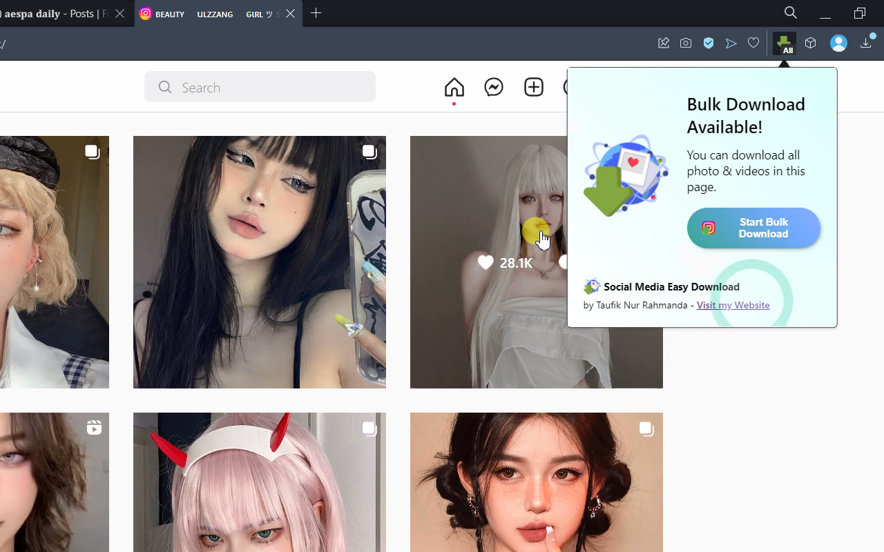 Save All Images & Videos截图1