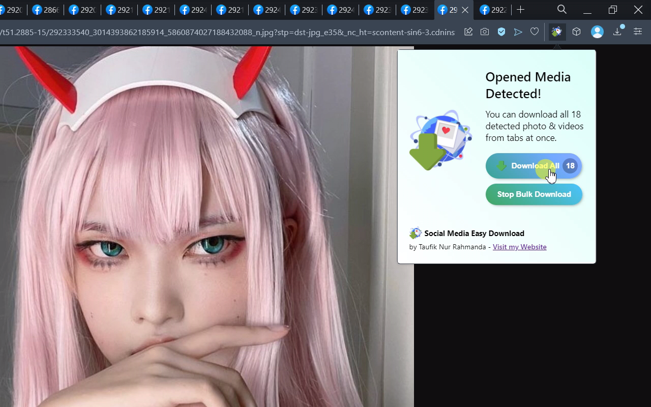 Save All Images & Videos截图2