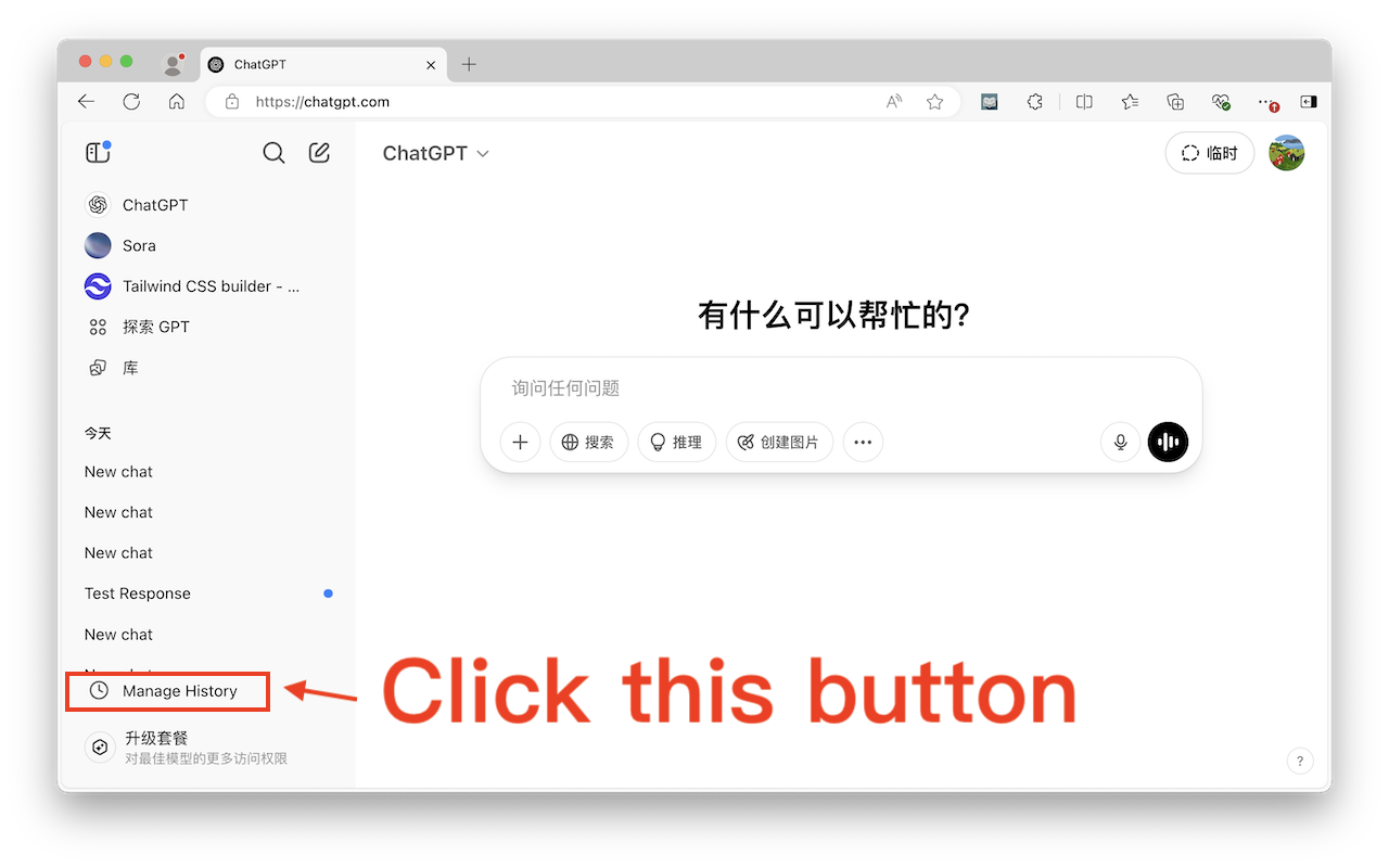 ChatGPT Batch Delete History Manager截图1