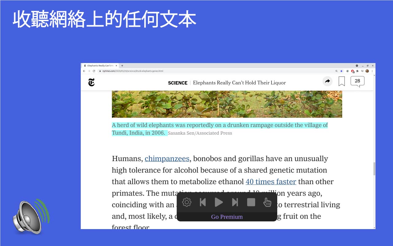 Troubadour - web reader截图2