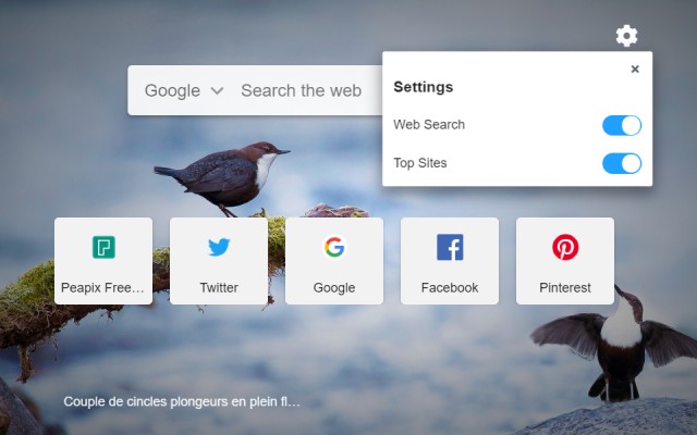 Peapix New Tab Background截图1