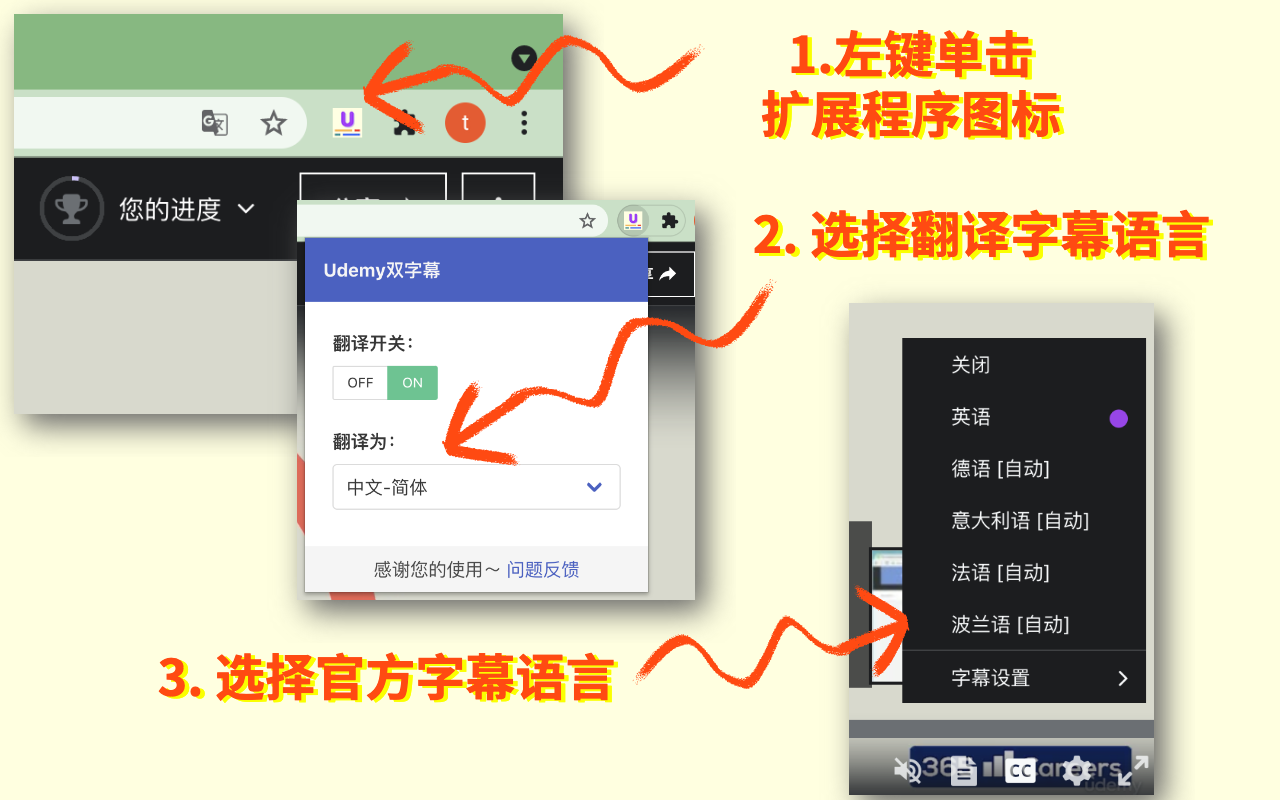Udemy双字幕 - 字幕翻译器截图3