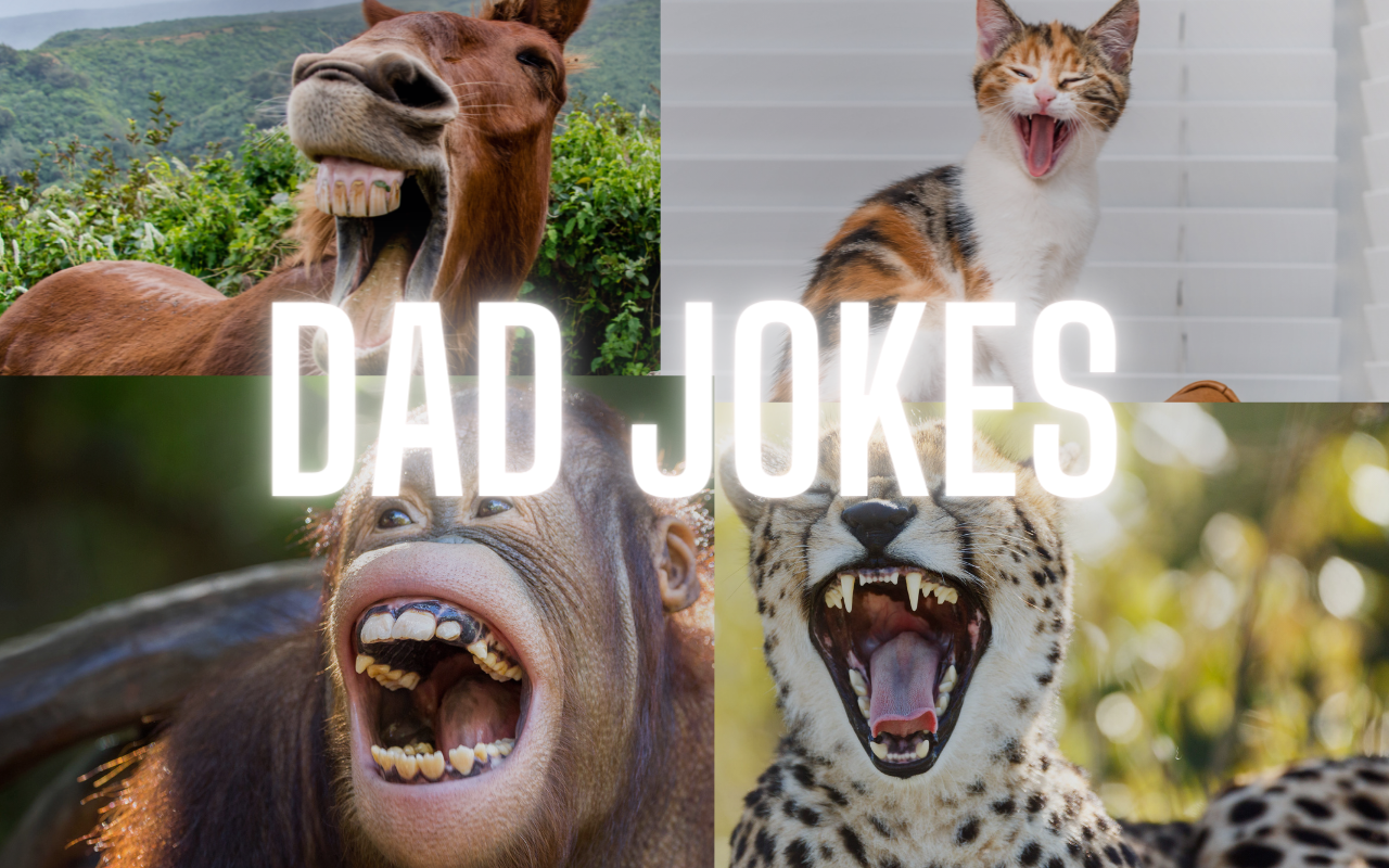 Dad Jokes截图1