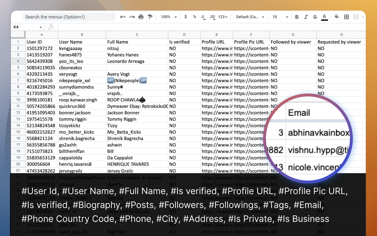 LikeFox - Export IG Likes (Email)截图2