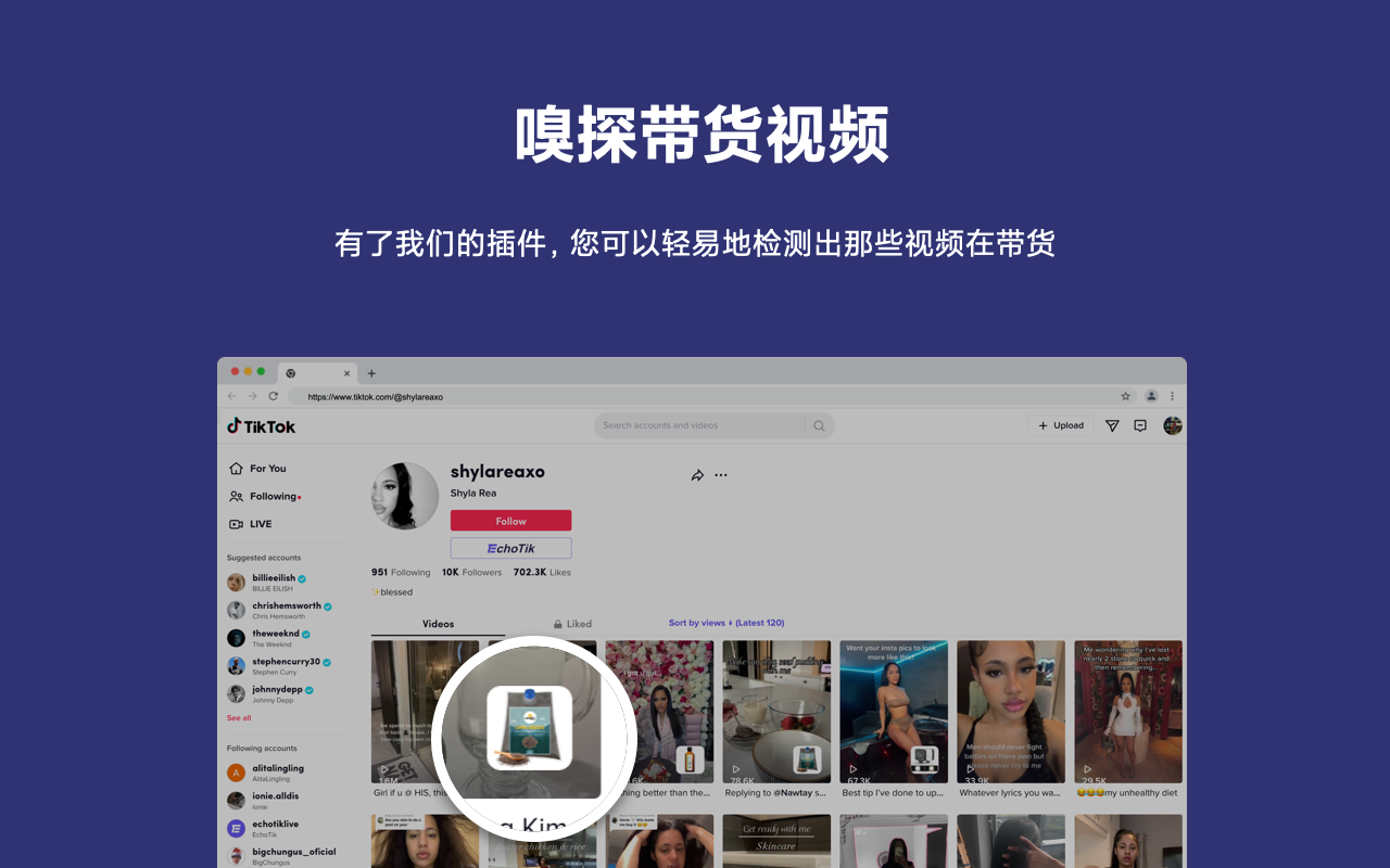 TikTok Analytics By EchoTik截图1