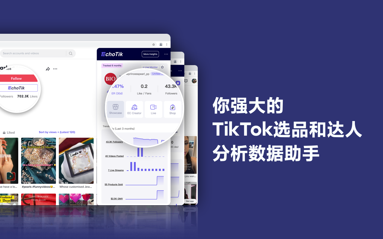 TikTok Analytics By EchoTik截图3
