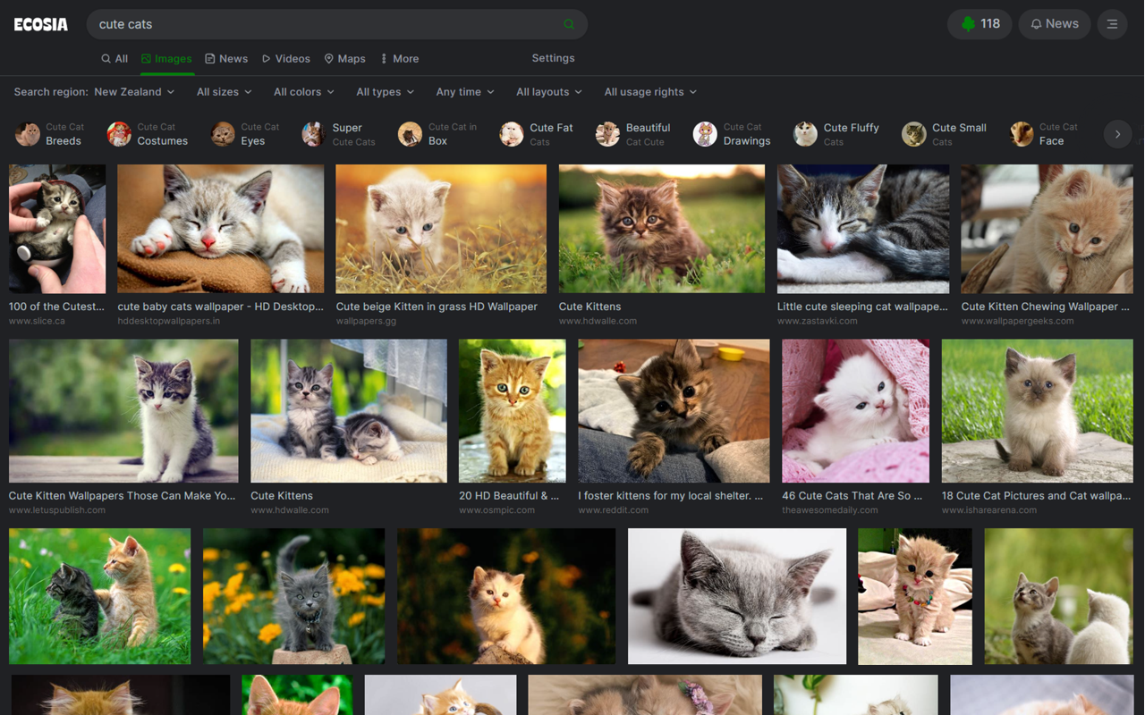 Ecosia Darkmode截图1