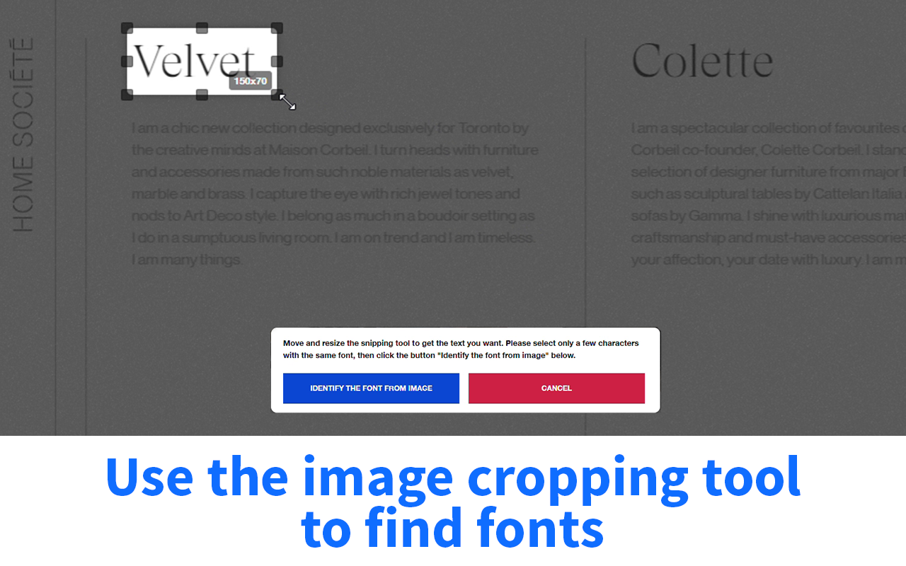 Font Identifier by WhatFontIs截图1