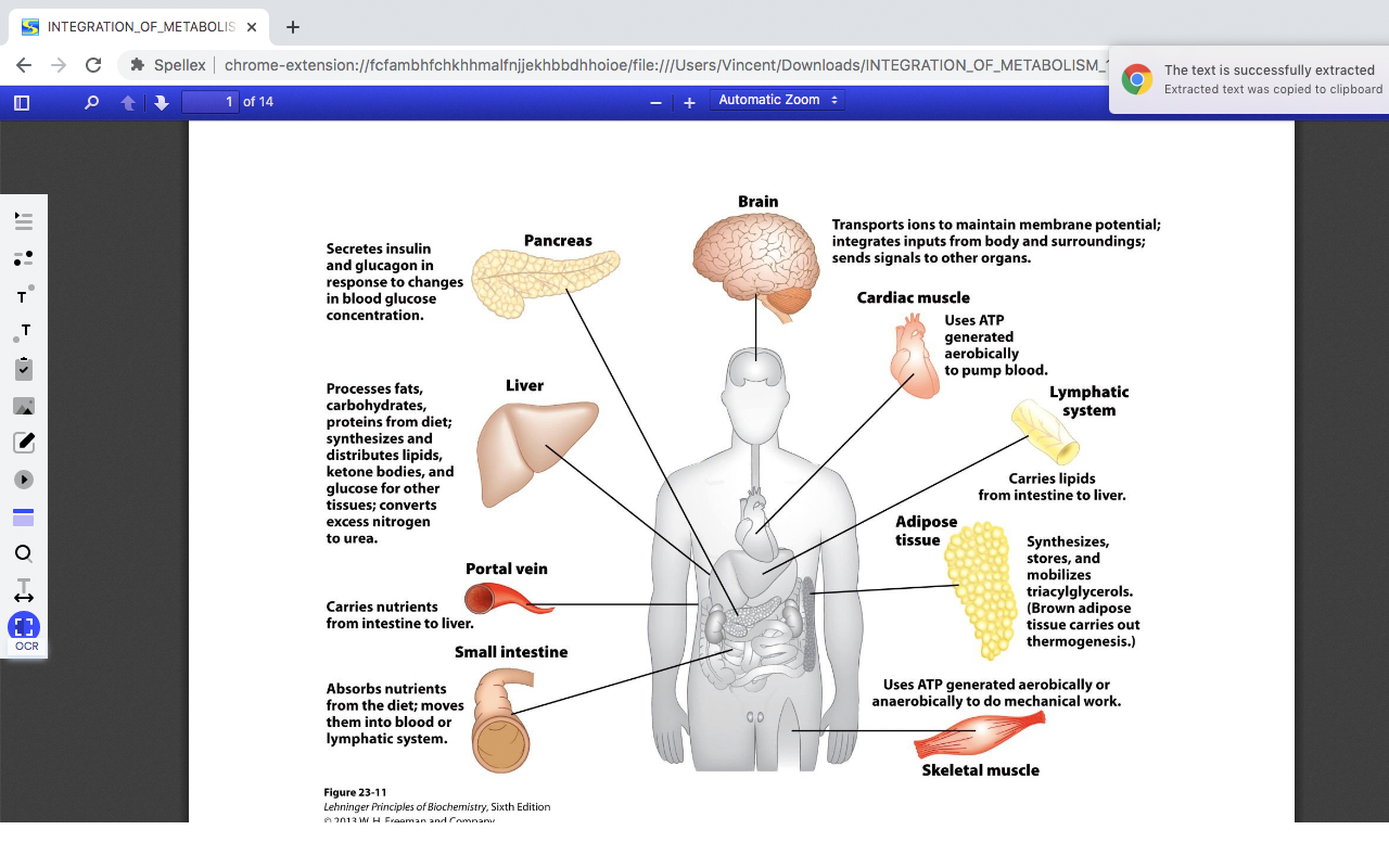 Spellex Write-Assist for Chrome截图5