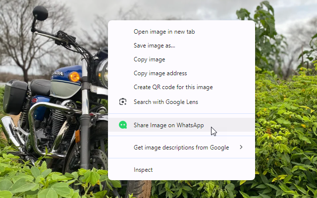 Share on WhatsApp™截图4