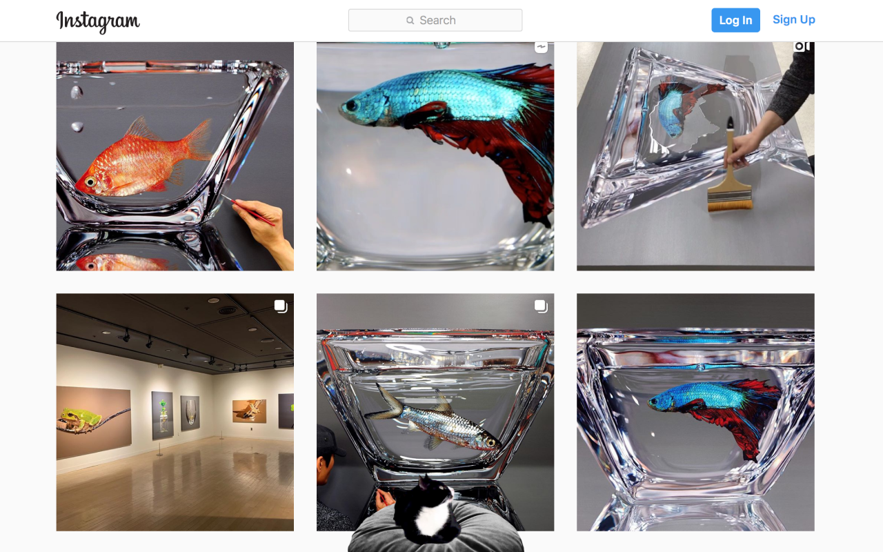 Chrome Cat截图1