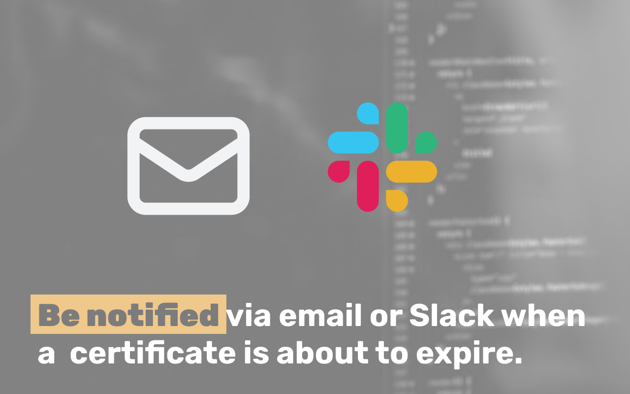 TLS/SSL checker and reminder - ElevenGuard截图1