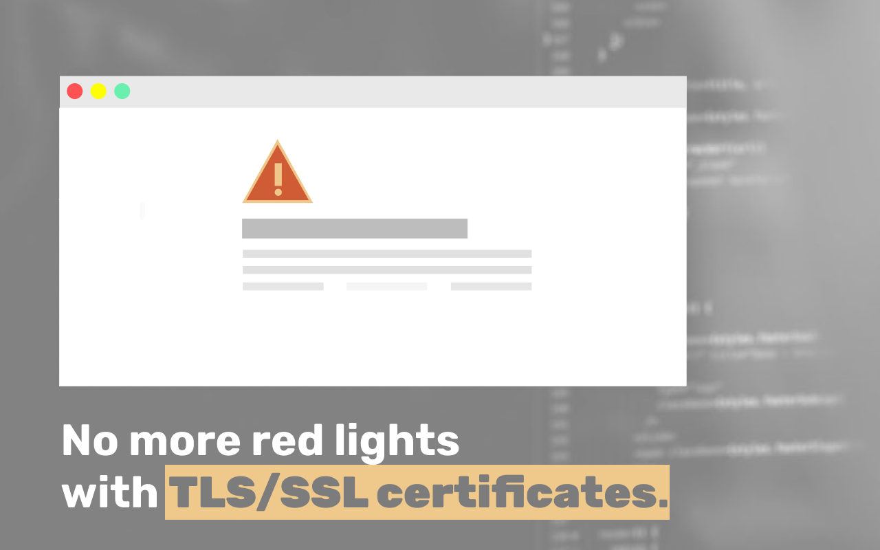 TLS/SSL checker and reminder - ElevenGuard截图2