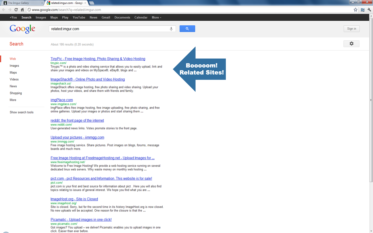 Related Search截图1