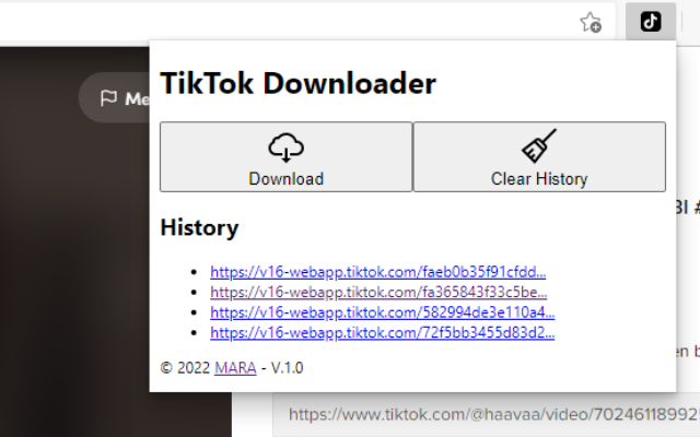 TikTok Downloader截图1