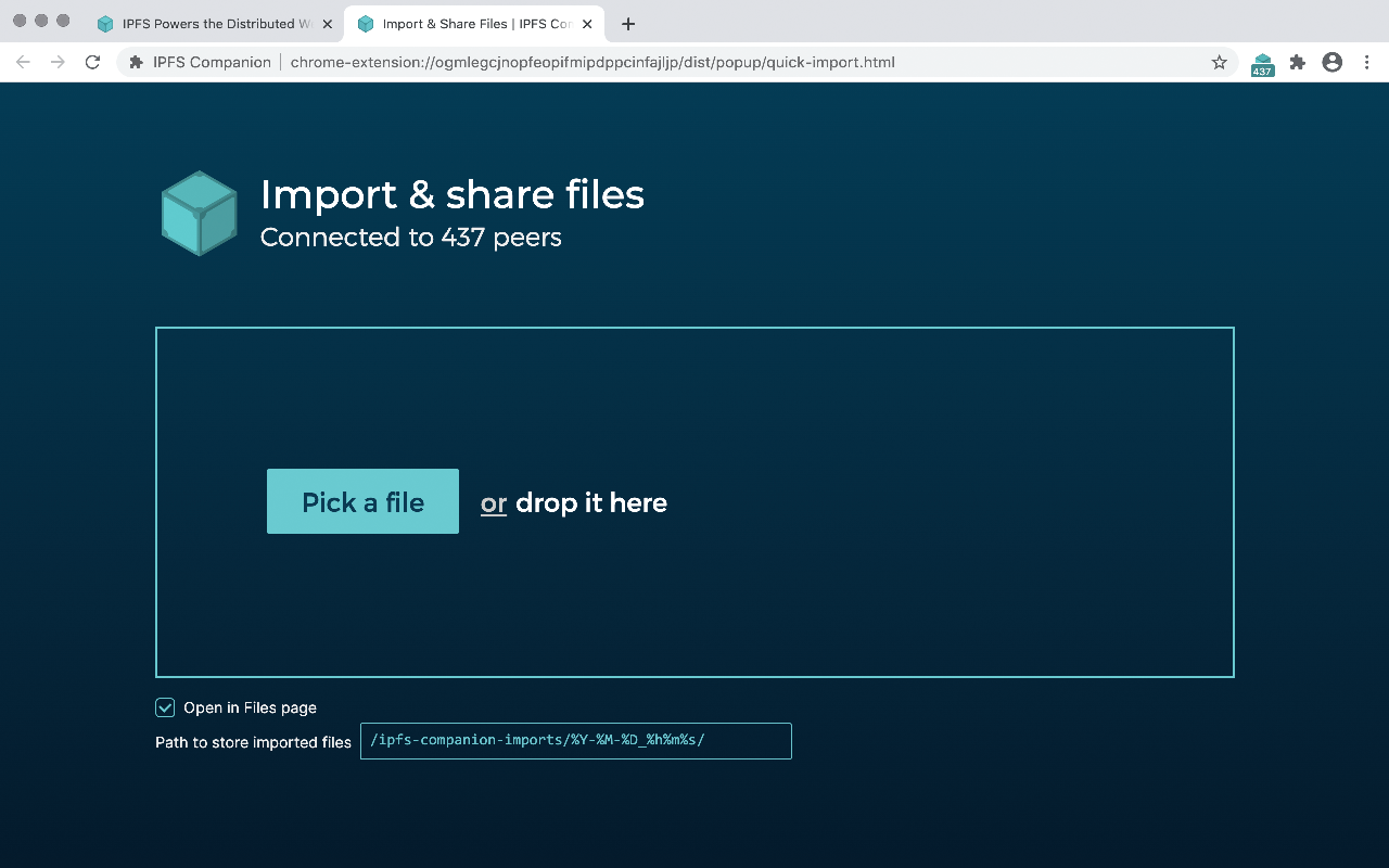 IPFS 伴侣截图4