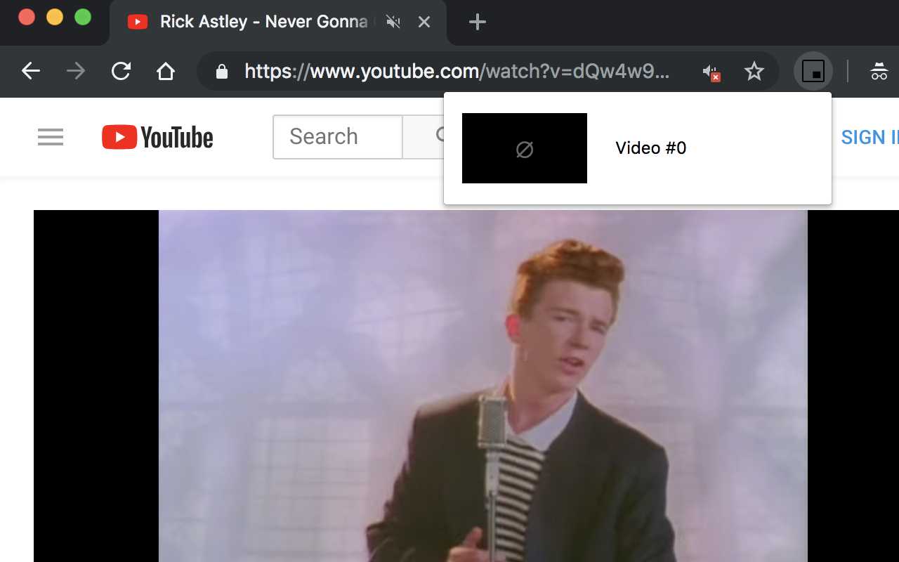 Video Picture-in-Picture截图1