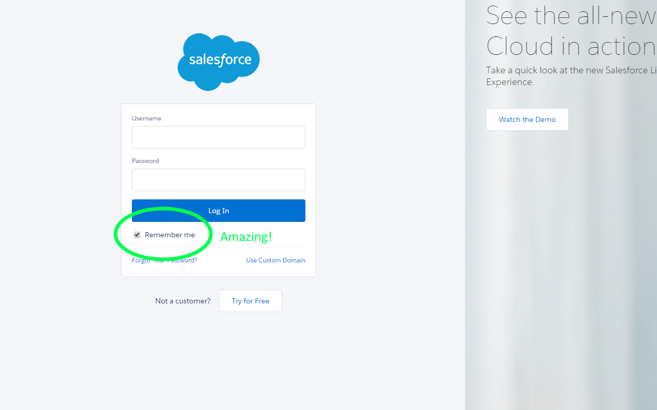 always remember me截图1