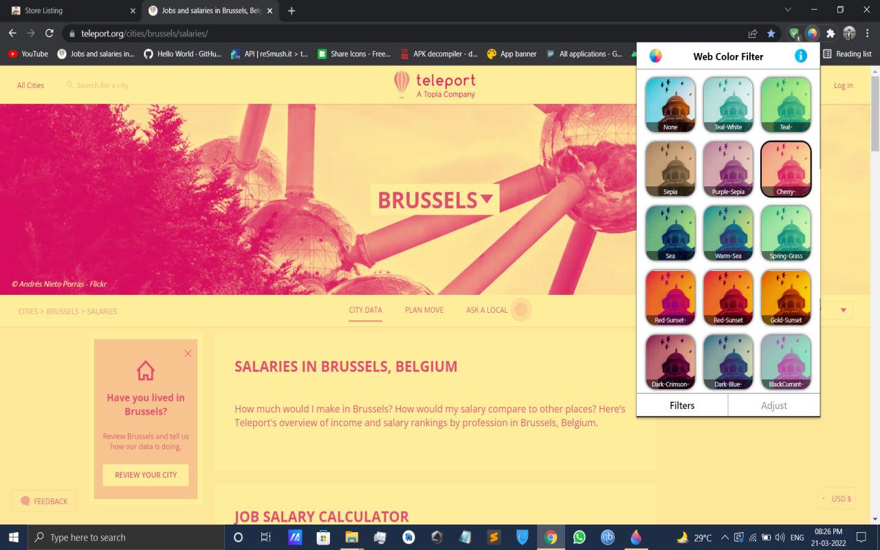 Web Color Filter截图3