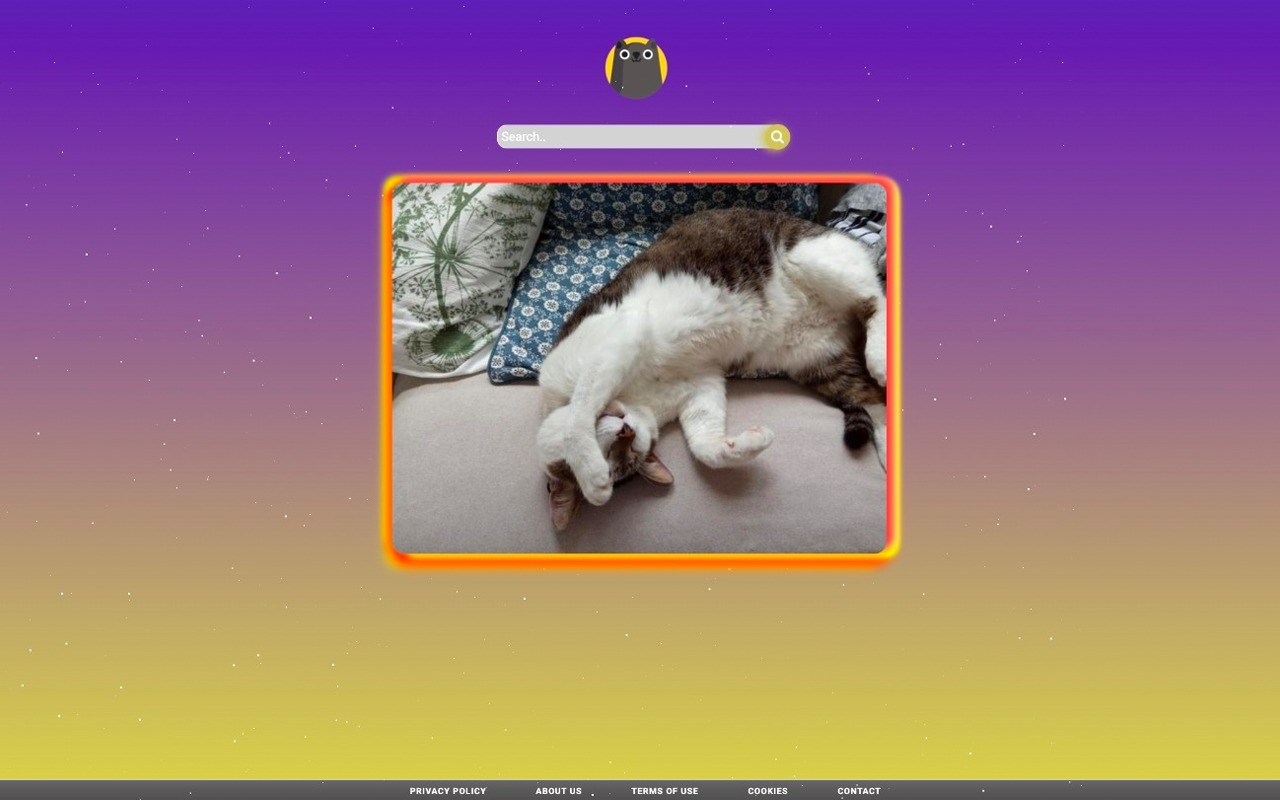 Cats Fan截图1