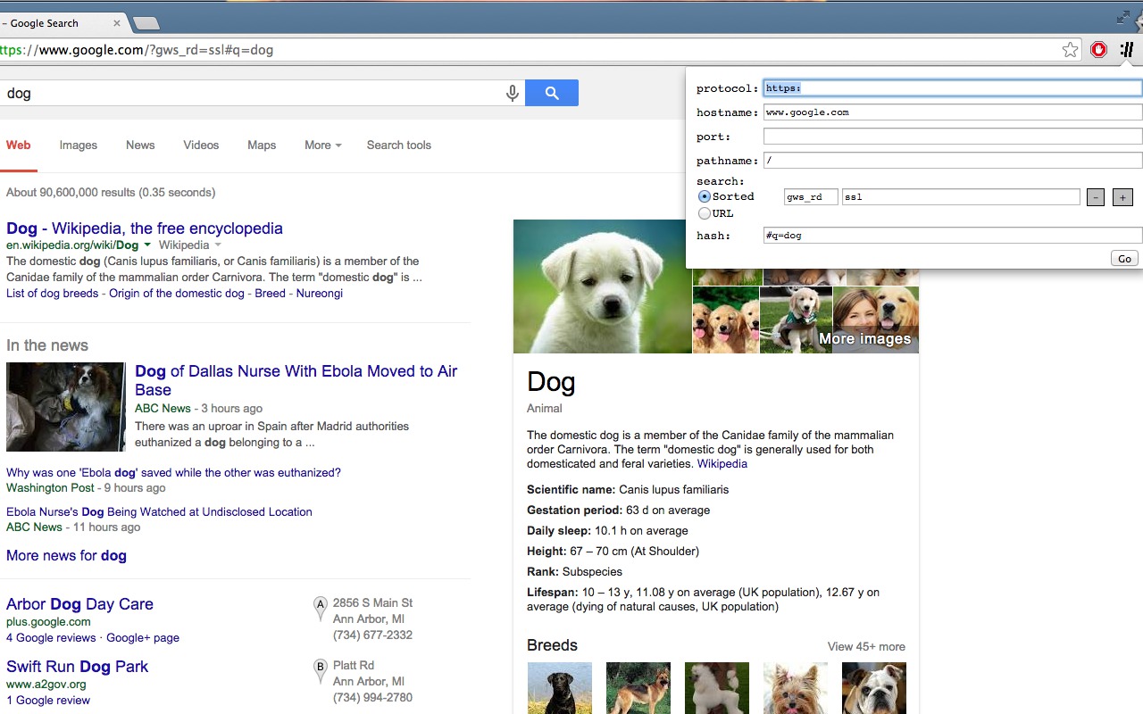 Developer URL bar截图1