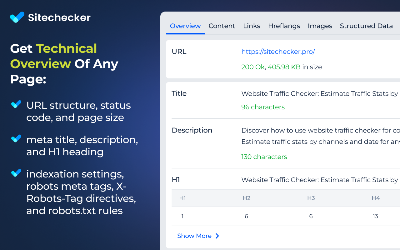 Website SEO Checker截图3