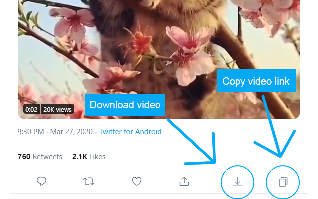 Twitter Video Downloader截图1