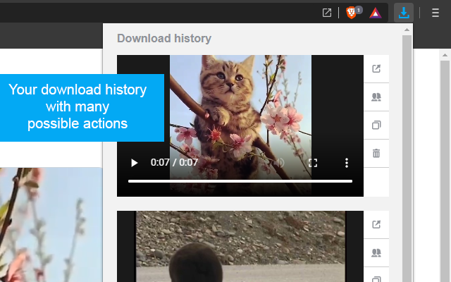 Twitter Video Downloader截图2