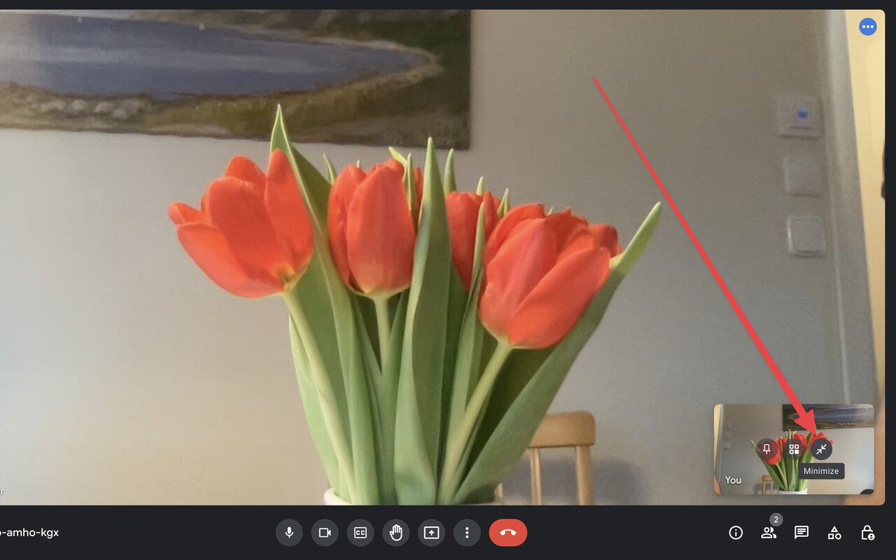 Google Meet Auto Minimize Camera截图1