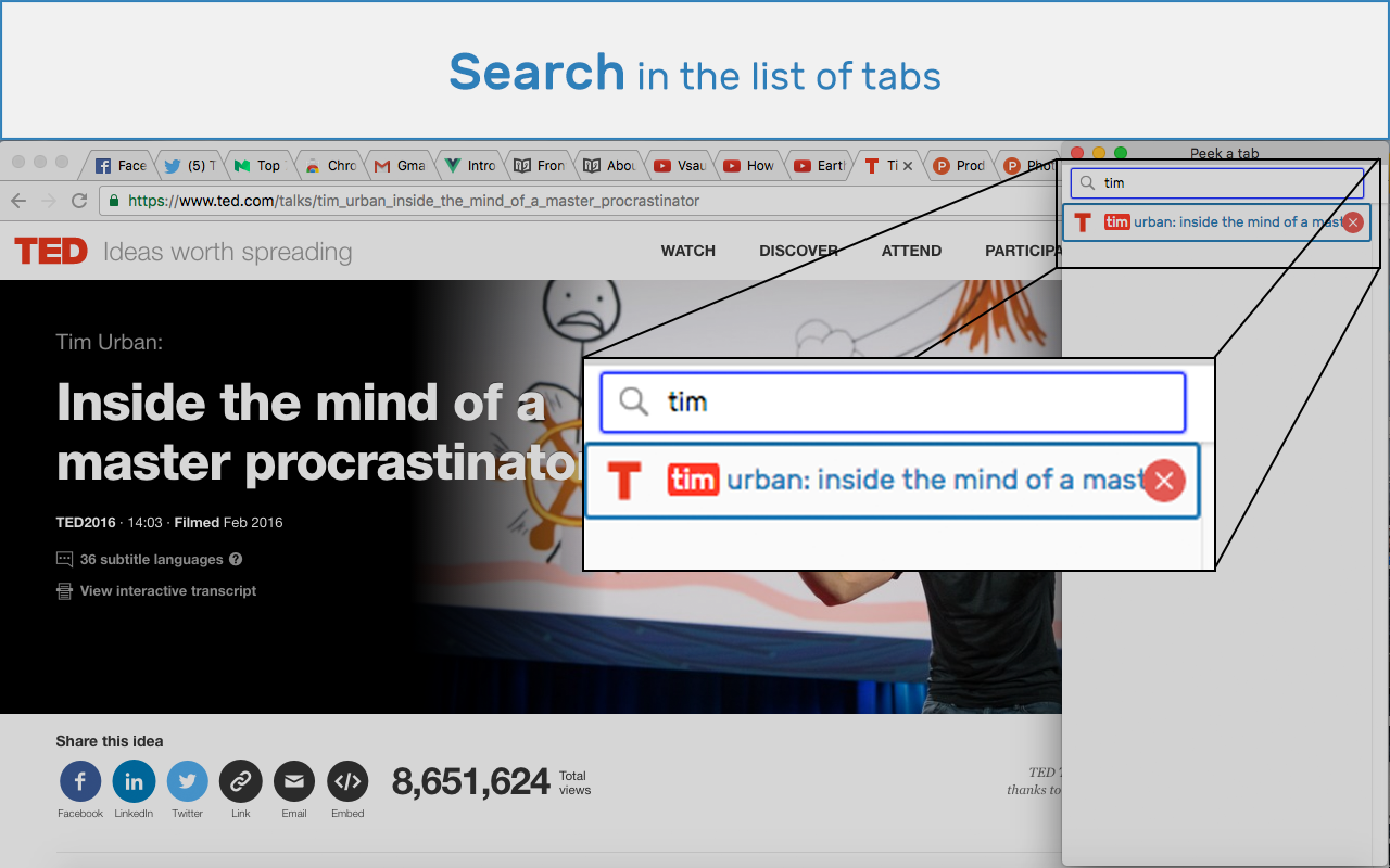 Peek-a-tab, Tabs Manager for Google Chrome™截图1