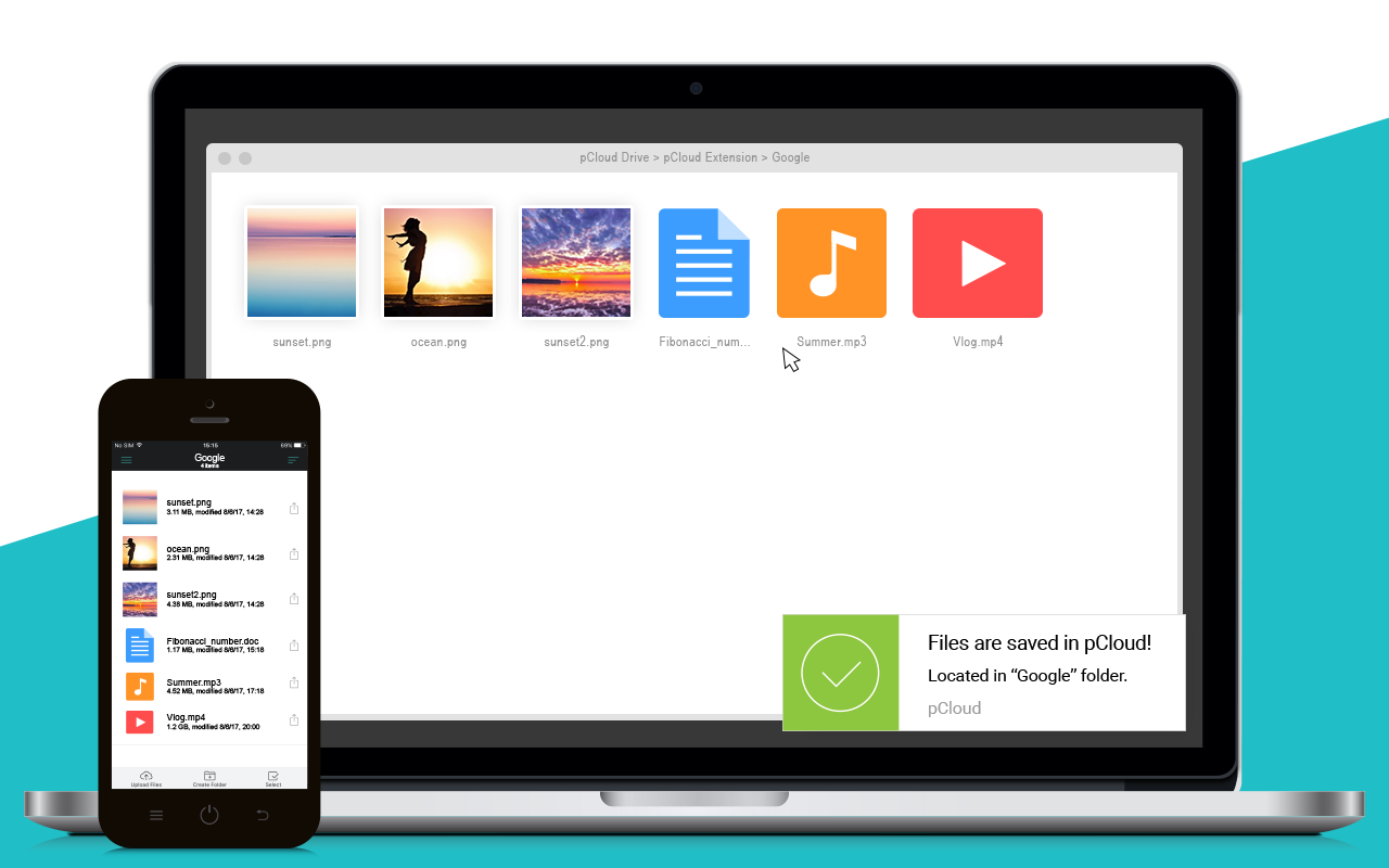 pCloud Save截图1