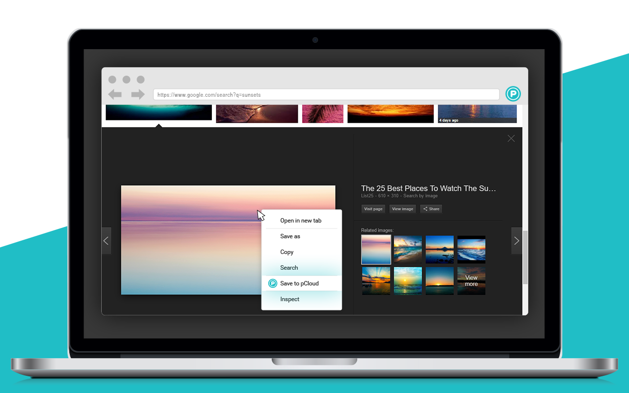 pCloud Save截图2