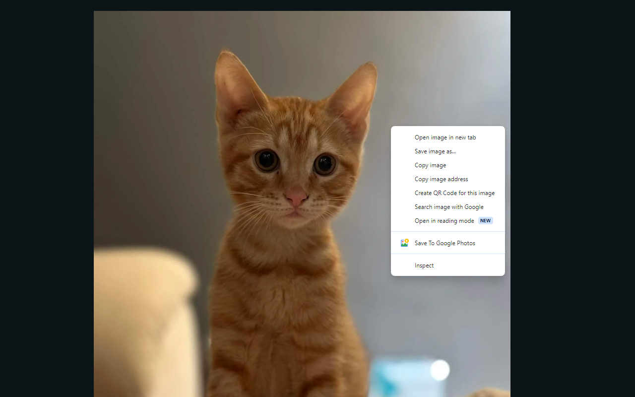 Save To Google Photos截图1