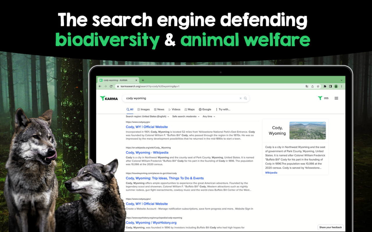 KARMA | Search to make a difference截图3