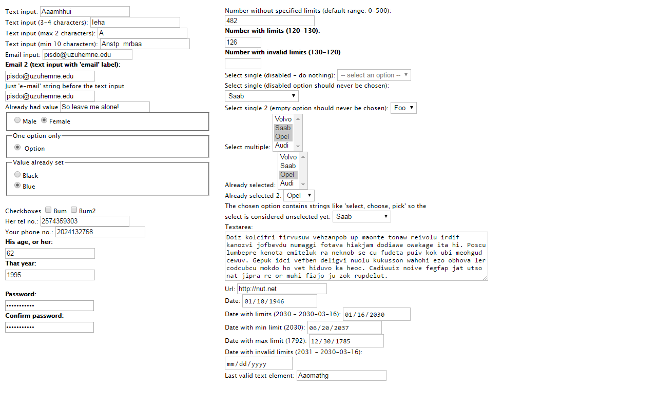 Dummy Form Filler截图1