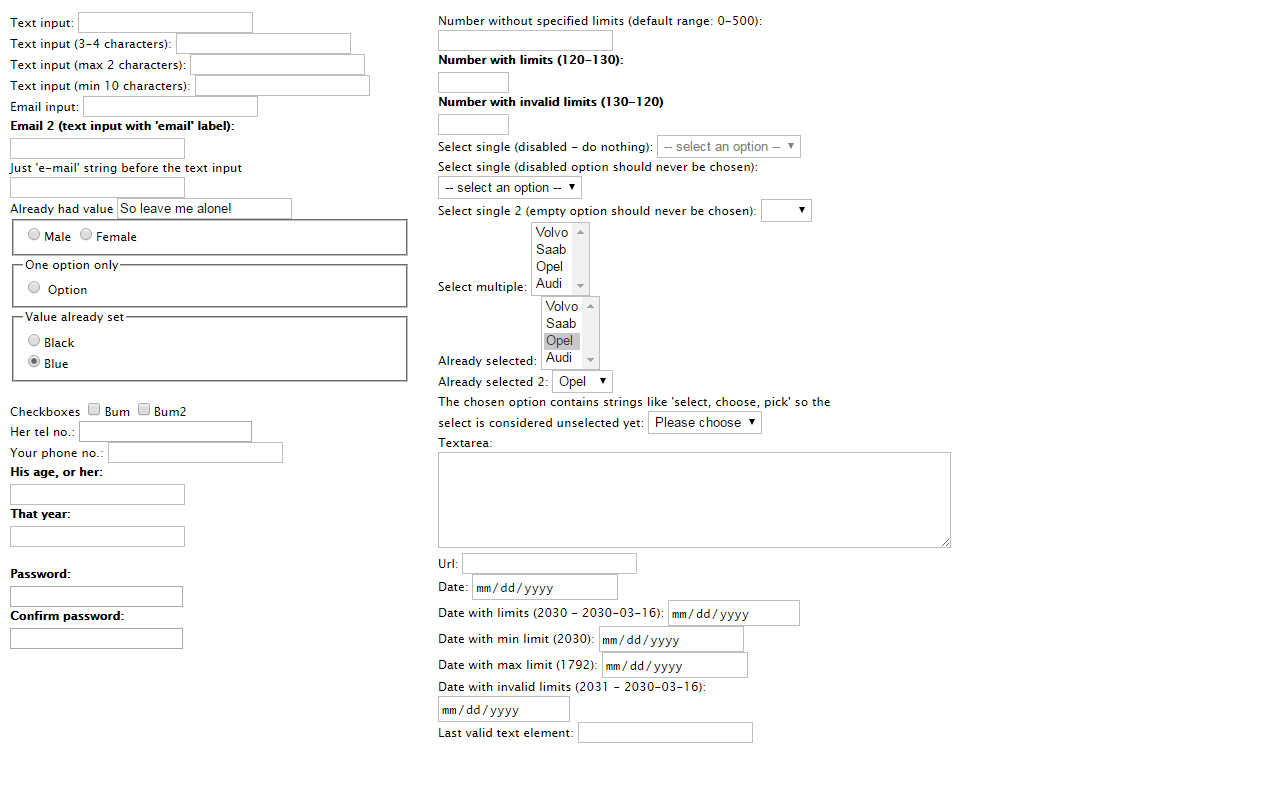 Dummy Form Filler截图3