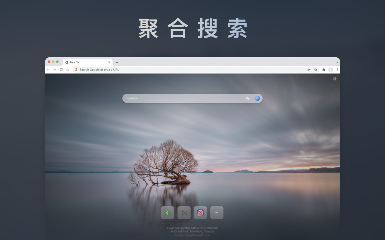 Quest新标签页截图1