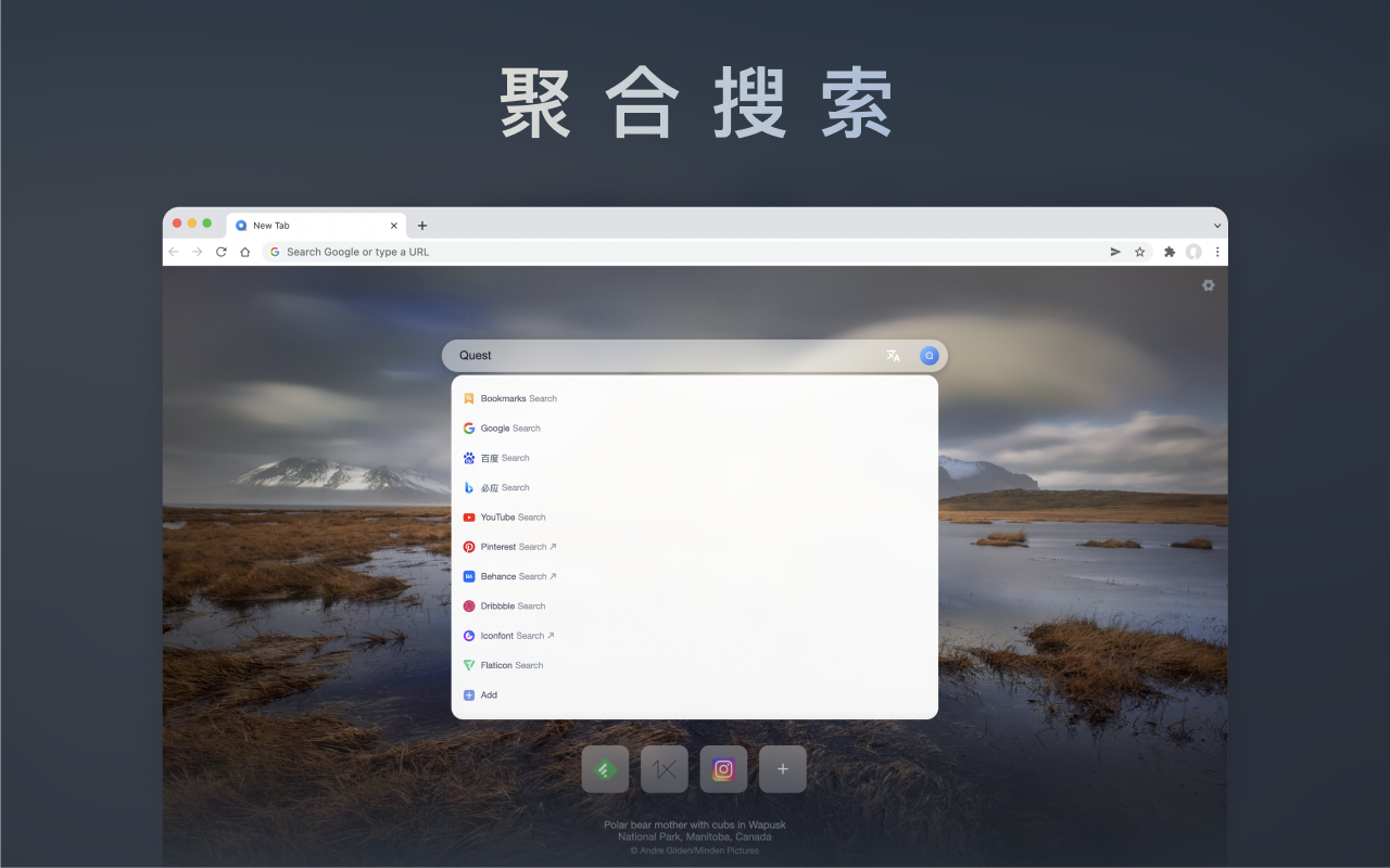 Quest新标签页截图2