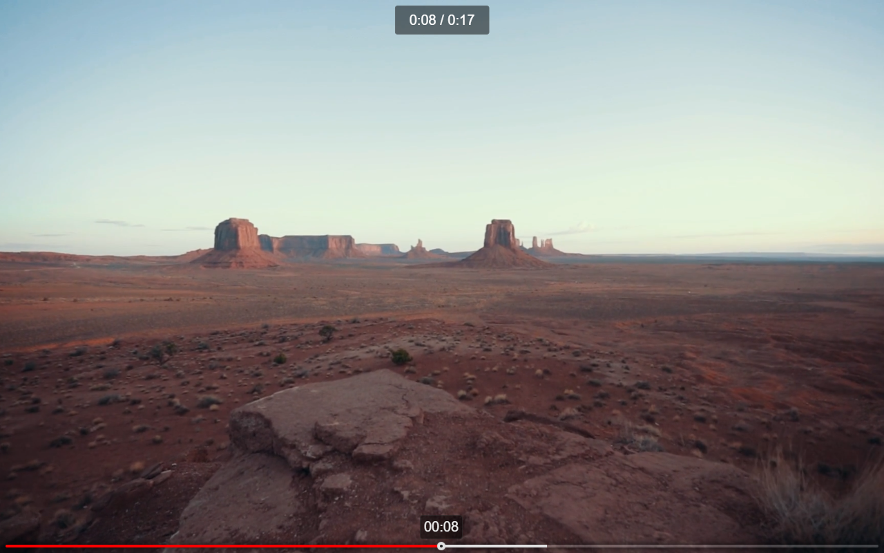 Video Dominator截图2