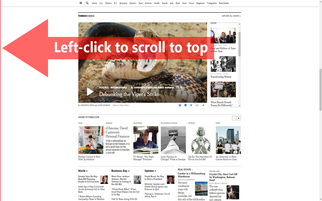 Scroll to Top截图2