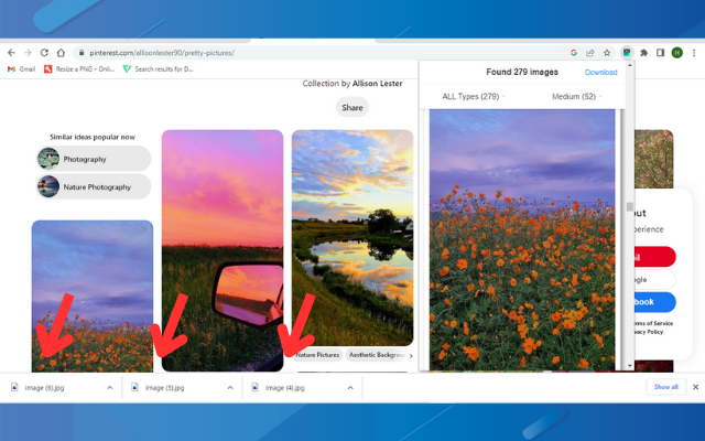 Full Image Downloader - Download all images截图1