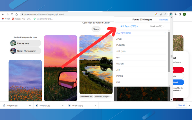 Full Image Downloader - Download all images截图2
