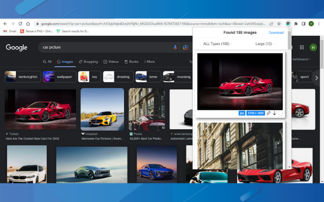 Full Image Downloader - Download all images截图3